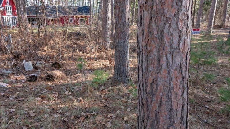 3823 County Road 17 Southwest Pequot Lakes, MN 56472 - Photo 12 of 13