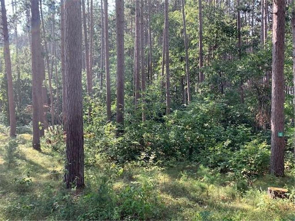 3823 County Road 17 Southwest Pequot Lakes, MN 56472 - Photo 13 of 13