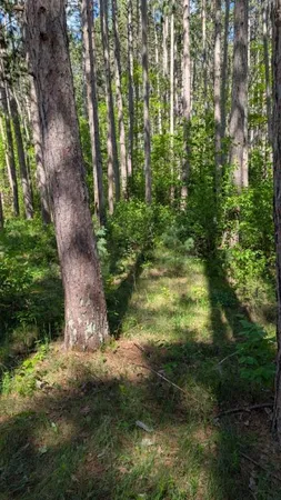 $47,000 | 3823 County Road 17 Southwest, Pequot Lakes, MN 56472