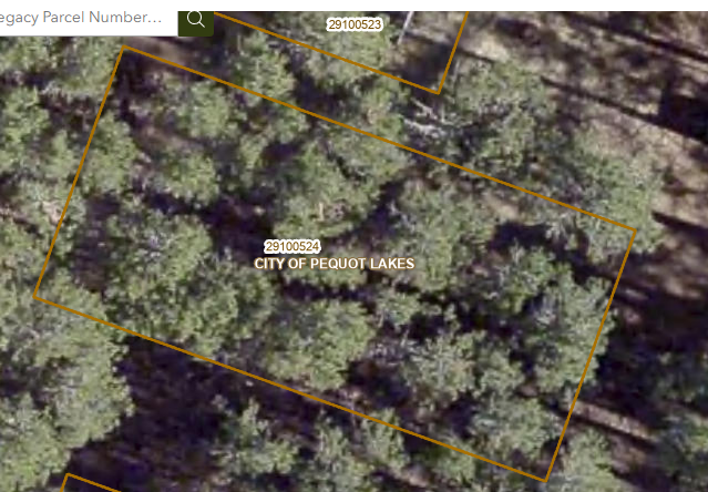 3823 County Road 17 Southwest Pequot Lakes, MN 56472 - Photo 7 of 13