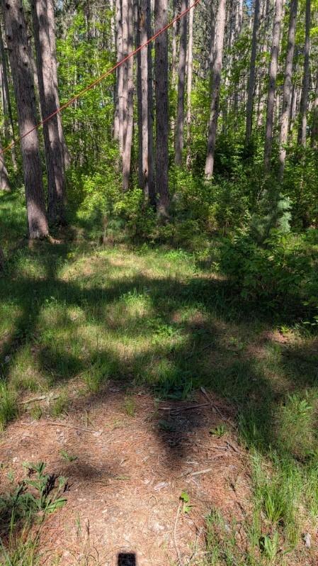 3823 County Road 17 Southwest Pequot Lakes, MN 56472 - Photo 8 of 13