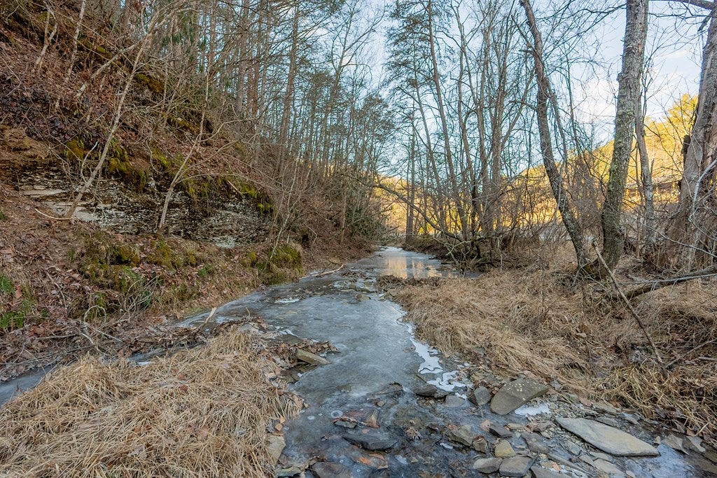 Tbd Kimberling Road, Unit 10A 10B2 Bland, VA 24315 - Photo 6 of 72 Gallery Image 6
