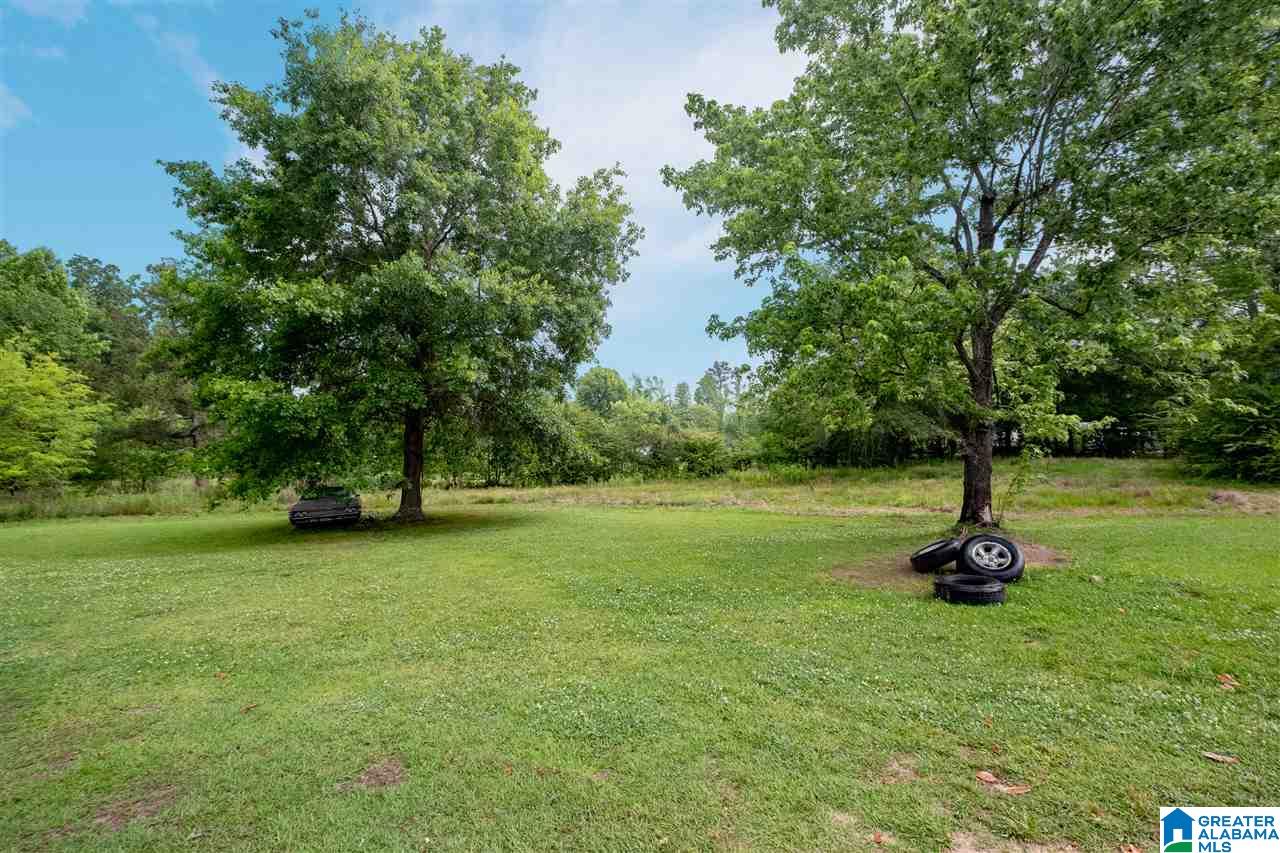 649 McCrory Road Odenville, AL 35120 - Photo 18 of 24