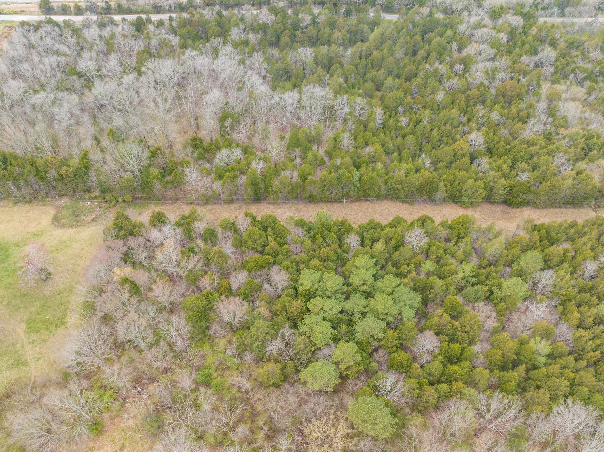 0 Owl Hollow Road Franklin, TN 37064 - Photo 20 of 36 a view of a yard