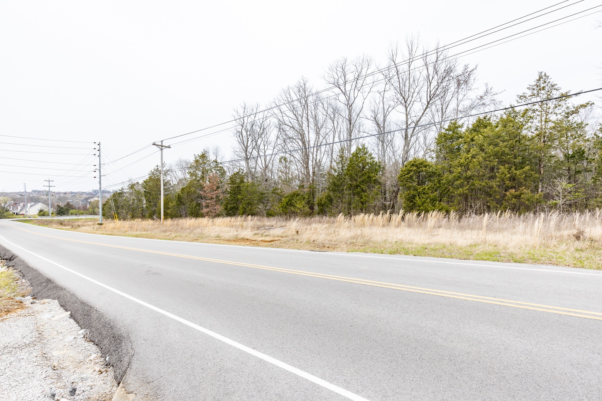 0 Owl Hollow Road Franklin, TN 37064 - Photo 23 of 36 a view of a yard and large trees
