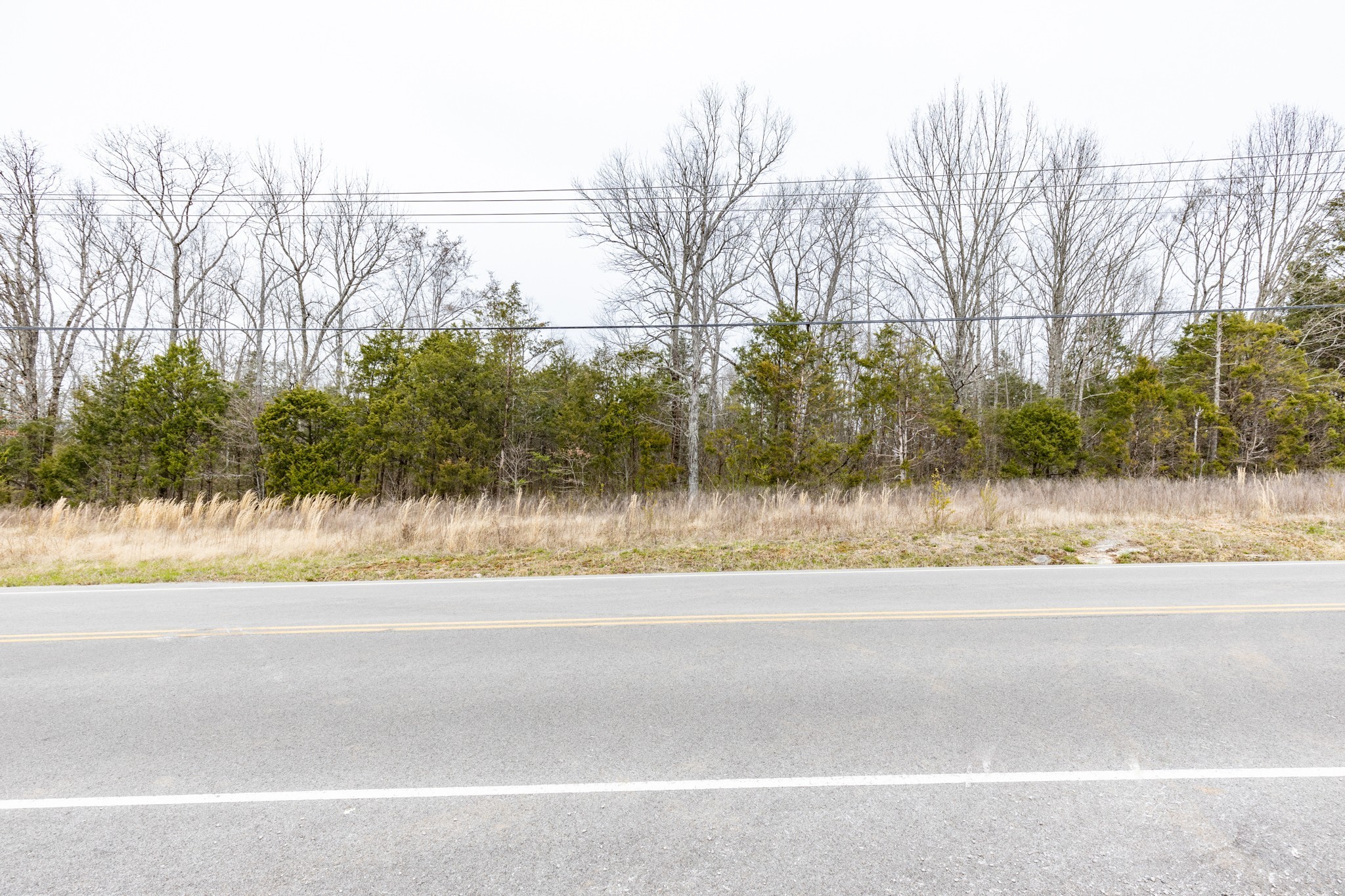 0 Owl Hollow Road Franklin, TN 37064 - Photo 24 of 36 a view of a yard with a house