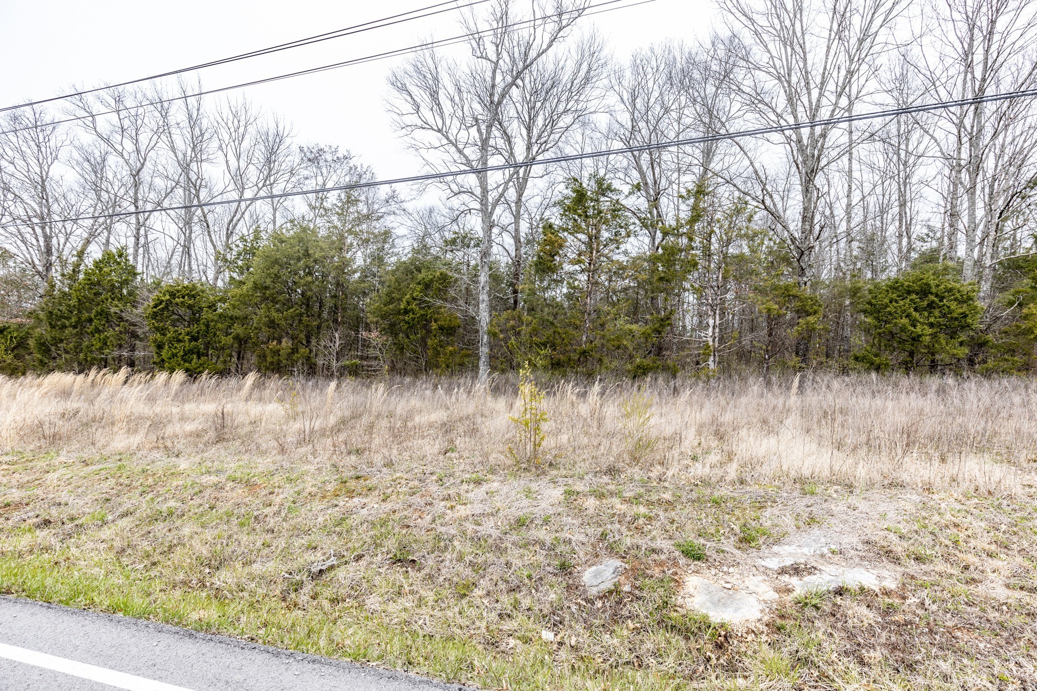 0 Owl Hollow Road Franklin, TN 37064 - Photo 25 of 36 a view of lake with green space