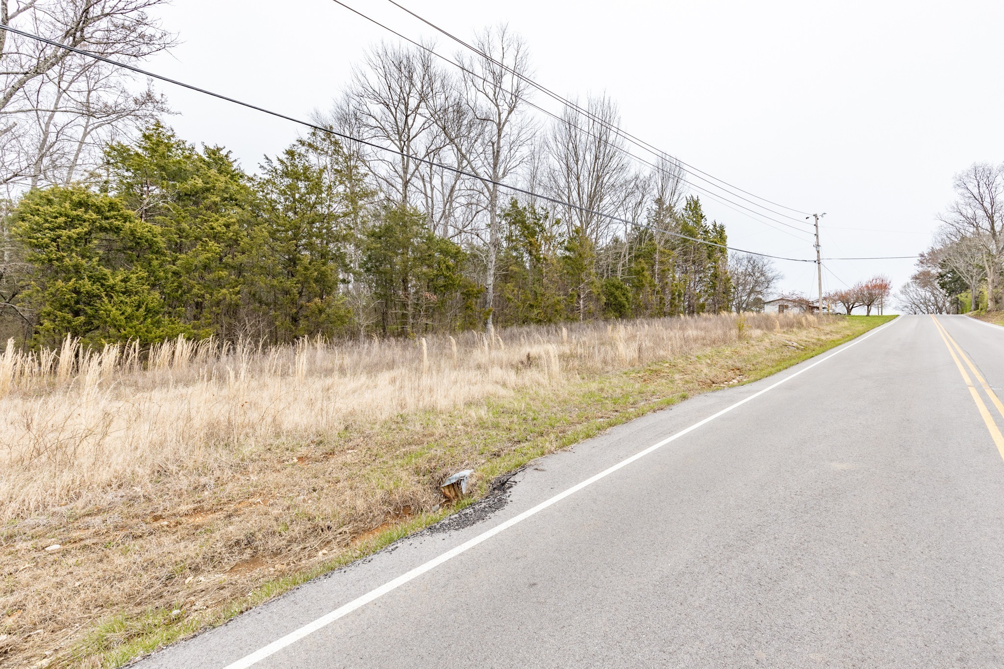0 Owl Hollow Road Franklin, TN 37064 - Photo 27 of 36 a view of a lake view