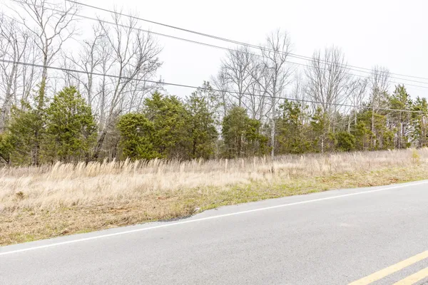 a view of a road with a trees in the background