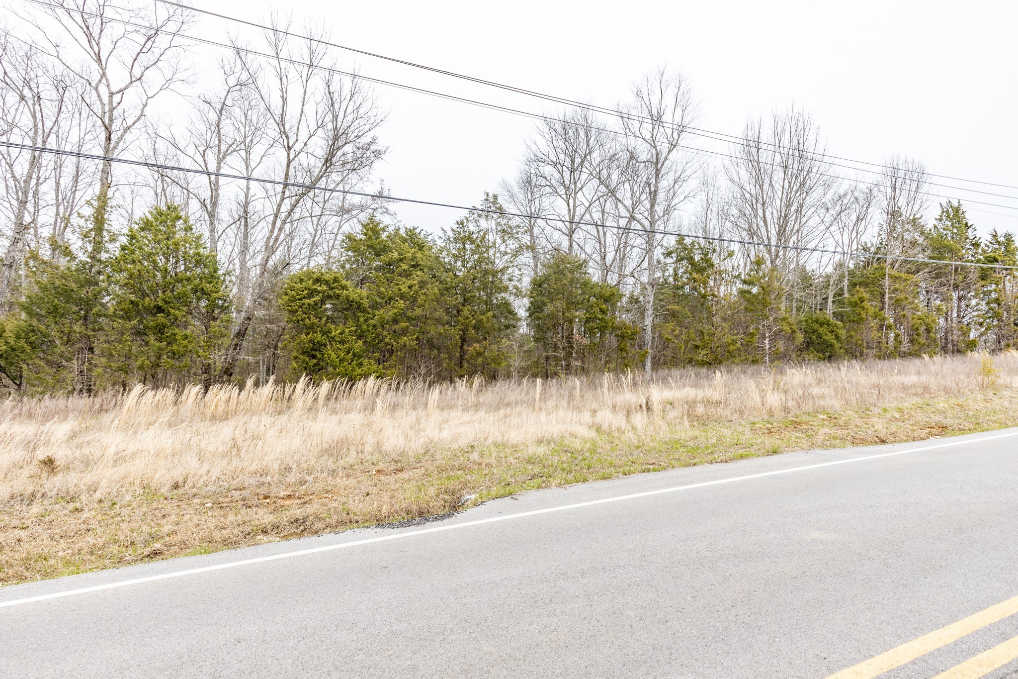 0 Owl Hollow Road Franklin, TN 37064 - Photo 28 of 36 a view of a yard with a snow on the road