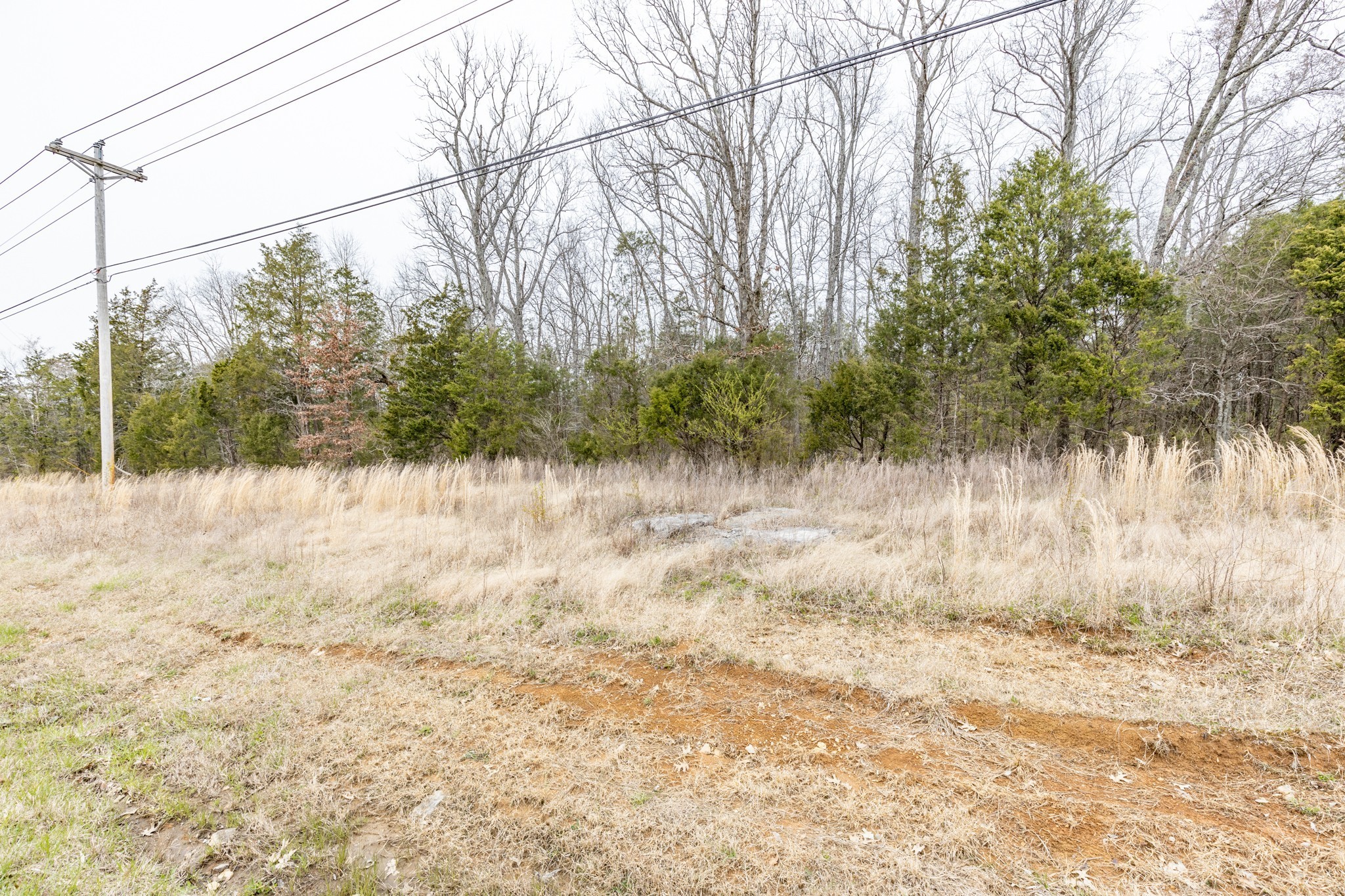 0 Owl Hollow Road Franklin, TN 37064 - Photo 29 of 36 a view of a yard