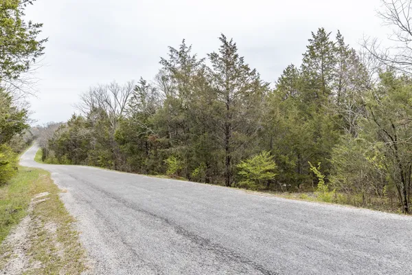 a view of a road with a trees in the background