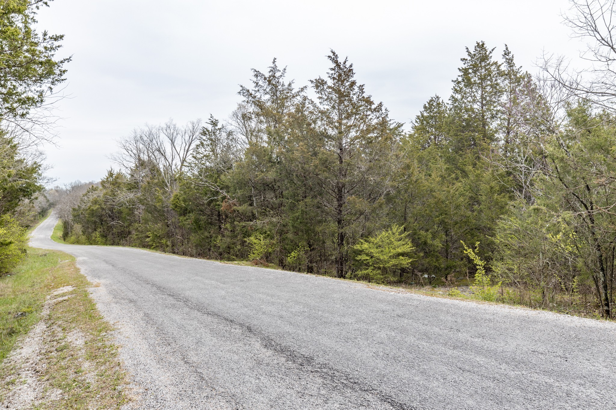 0 Owl Hollow Road Franklin, TN 37064 - Photo 30 of 36 a view of a road with a trees in the background