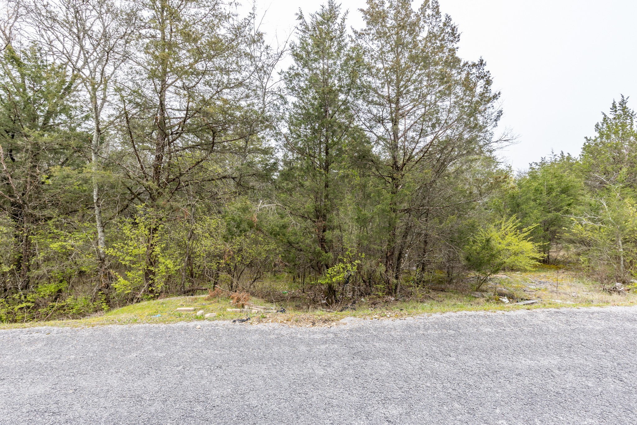 0 Owl Hollow Road Franklin, TN 37064 - Photo 31 of 36 a view of a yard with a tree