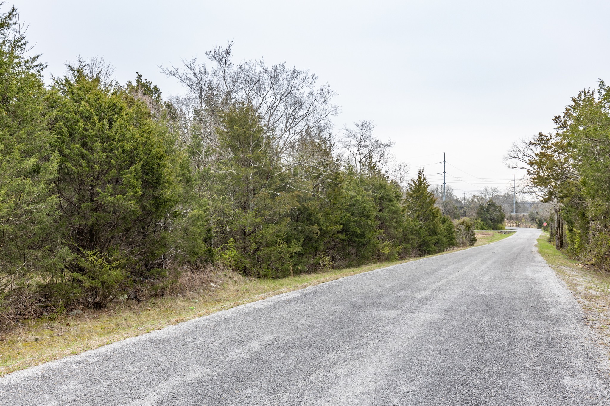 0 Owl Hollow Road Franklin, TN 37064 - Photo 32 of 36 a view of a road with a trees in the background