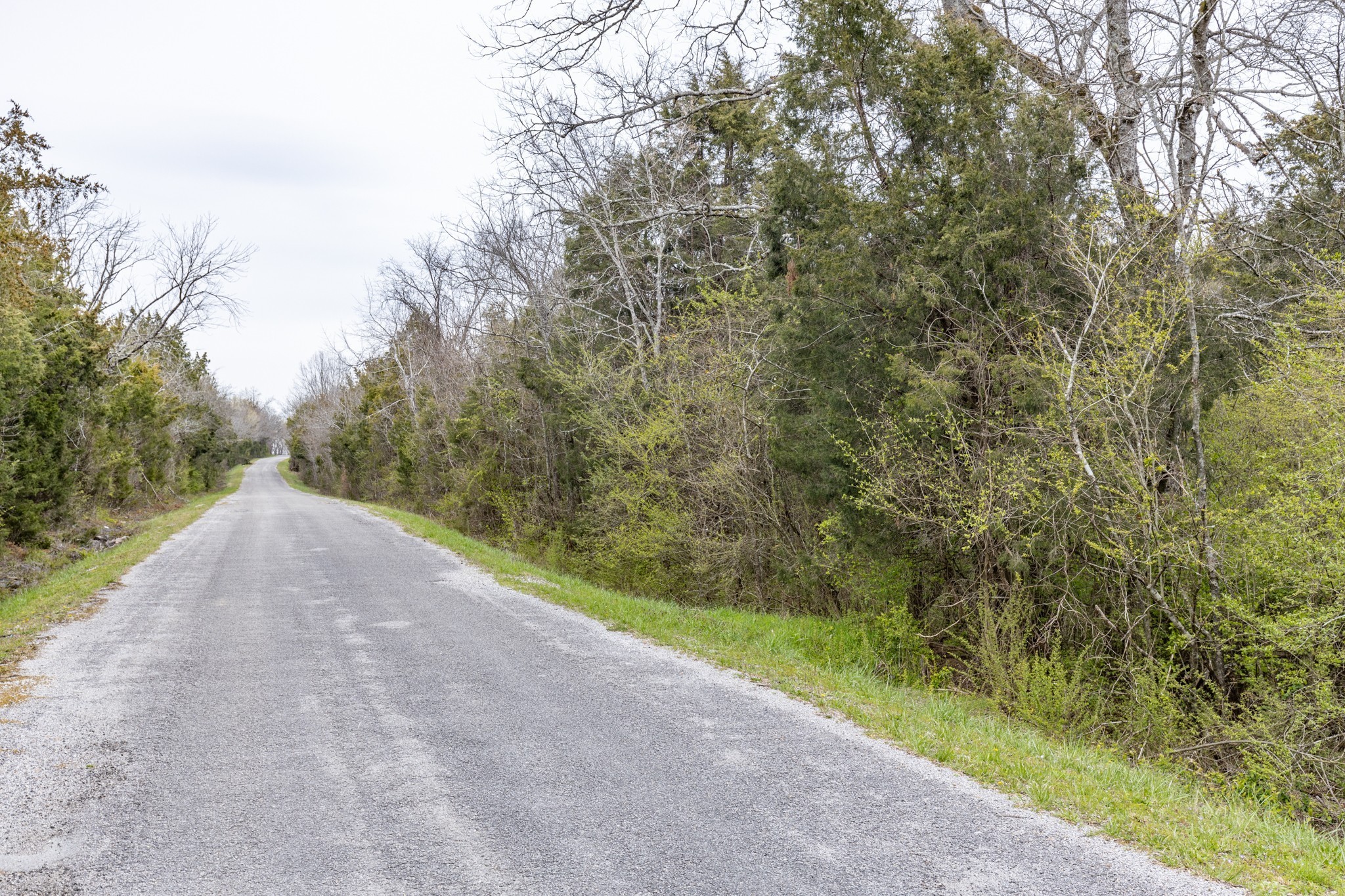 0 Owl Hollow Road Franklin, TN 37064 - Photo 35 of 36 a view of a plants with trees in front of the house