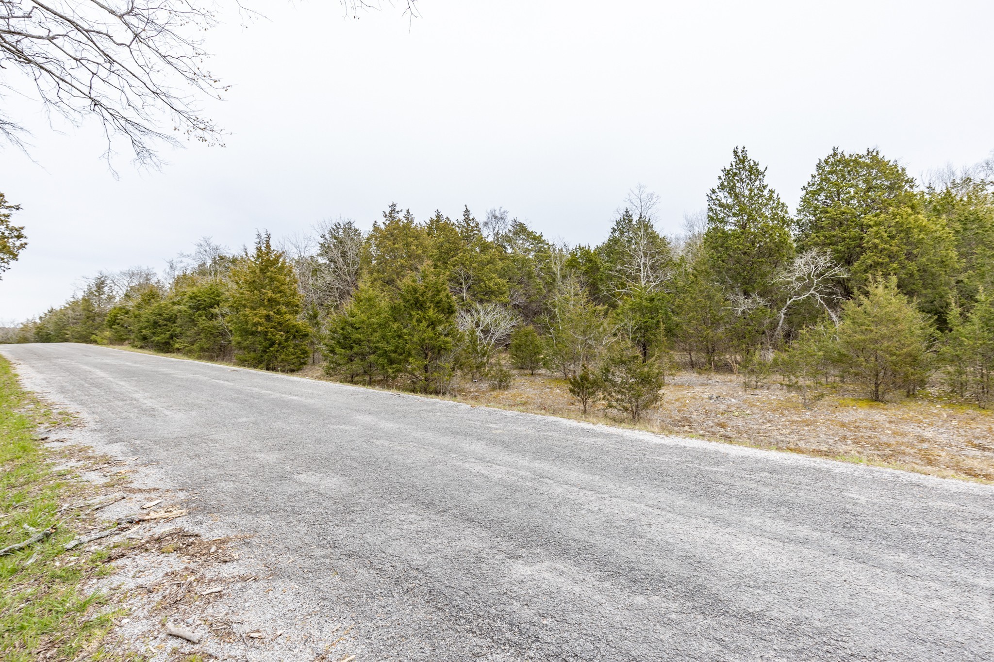 0 Owl Hollow Road Franklin, TN 37064 - Photo 36 of 36 a view of a yard with a tree