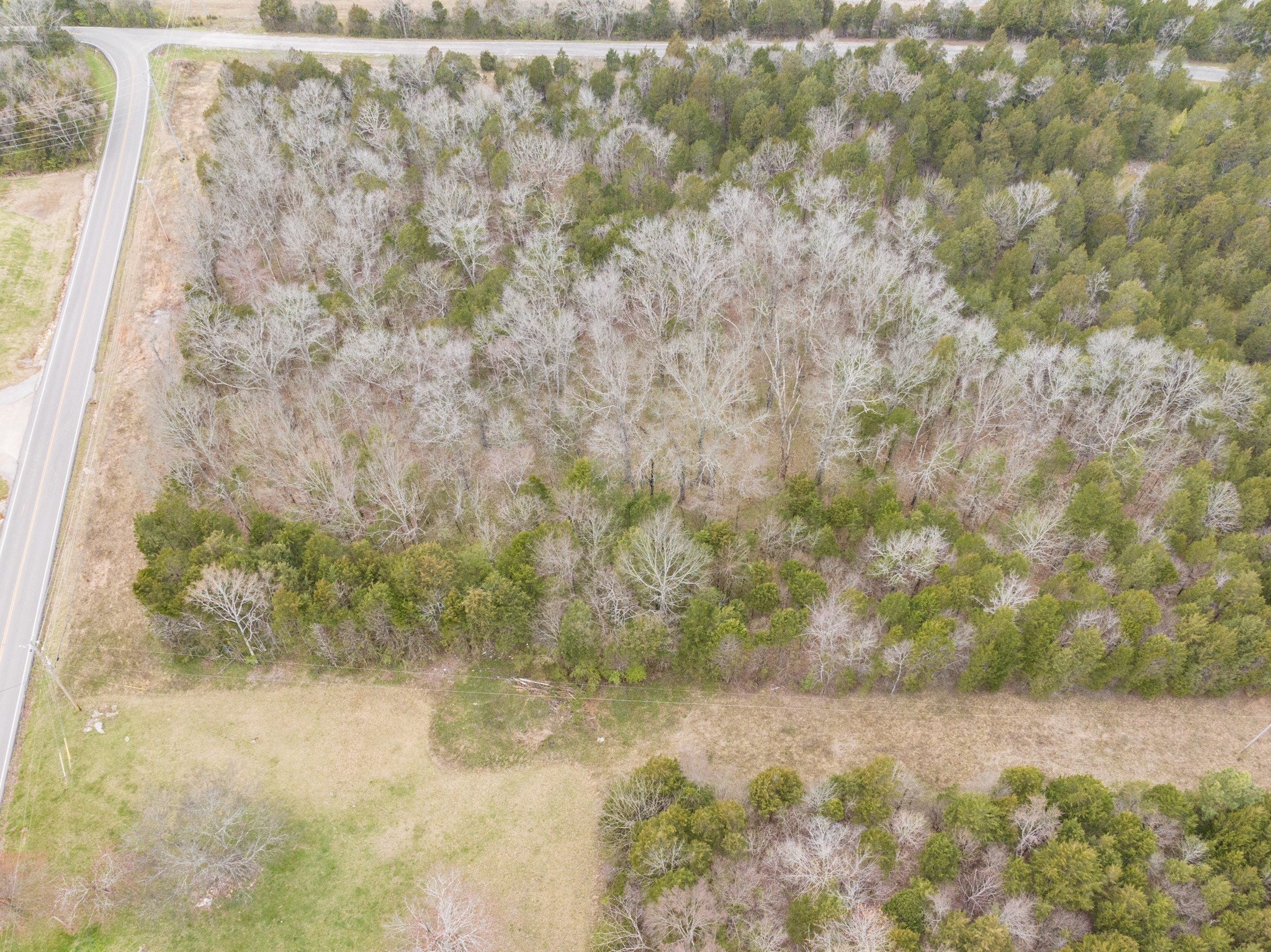 0 Owl Hollow Road Franklin, TN 37064 - Photo 5 of 36 a bathroom with a small yard