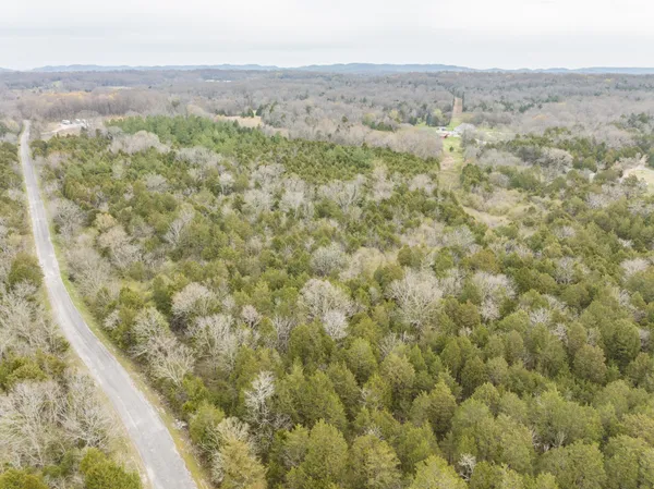 an aerial view of forest