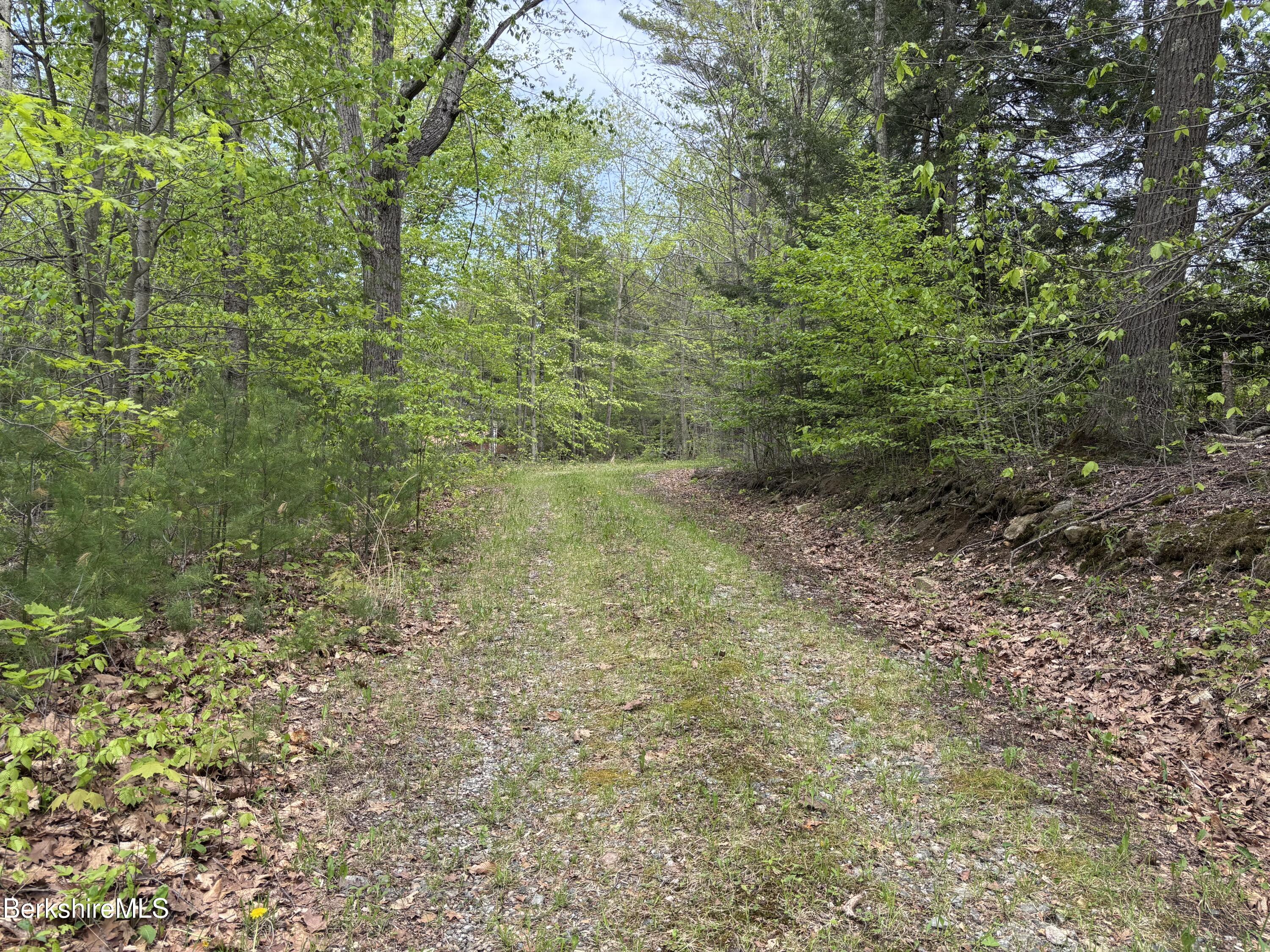 9 South Sandisfield Road Sandisfield, MA 01255 - Photo 1 of 10 a view of a yard with a tree