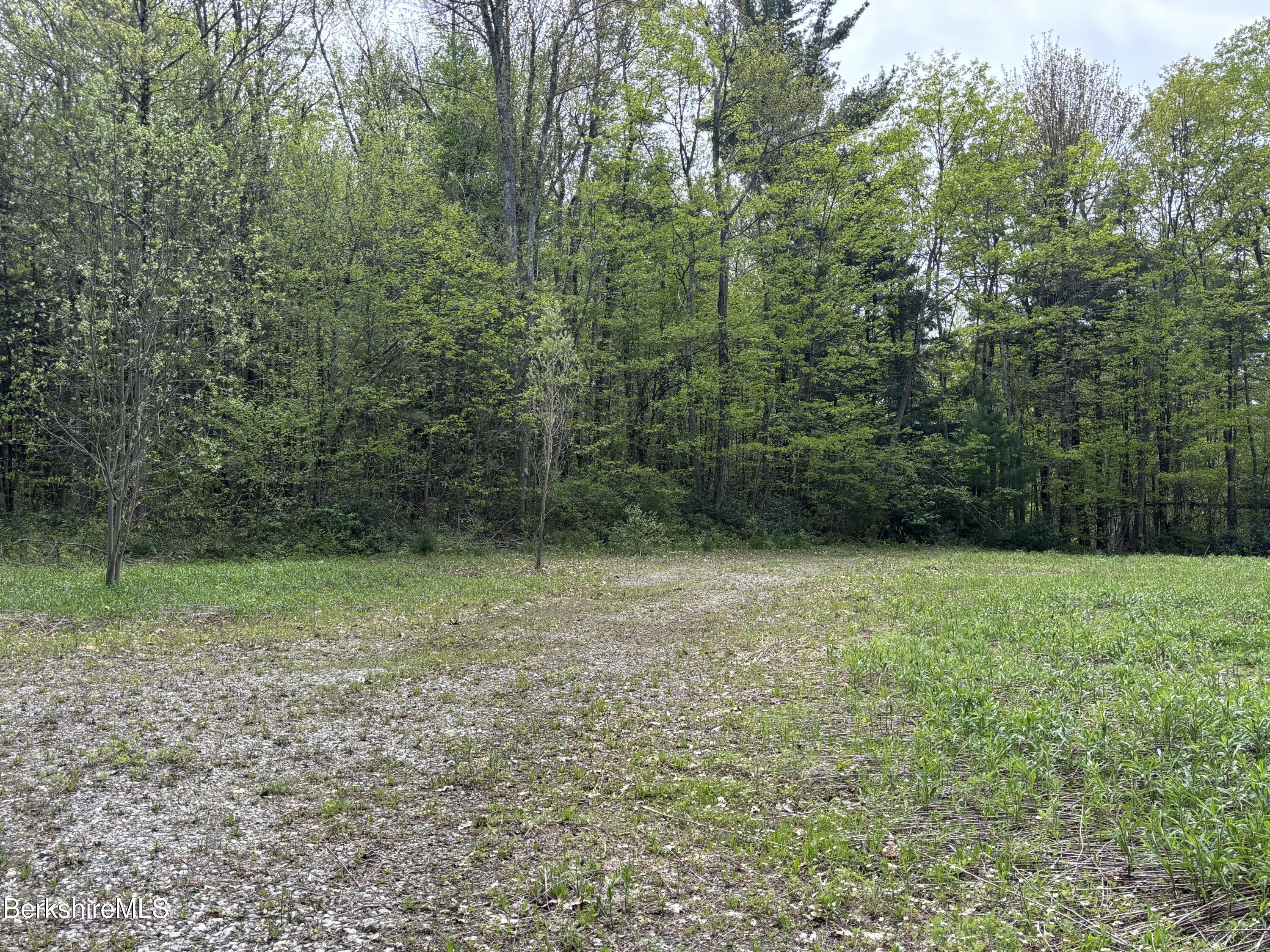 9 South Sandisfield Road Sandisfield, MA 01255 - Photo 2 of 10 a view of outdoor space and yard