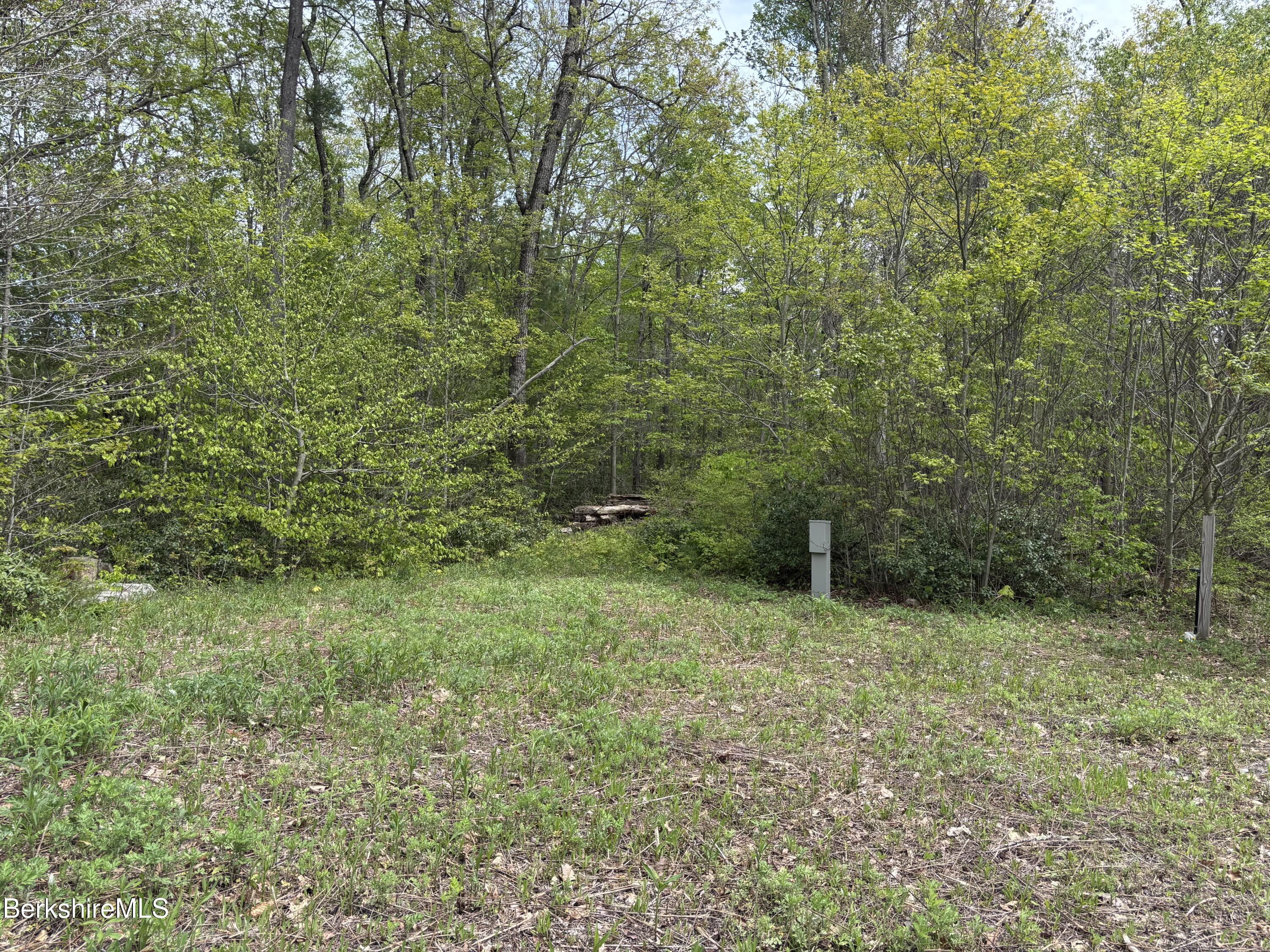 9 South Sandisfield Road Sandisfield, MA 01255 - Photo 3 of 10 a view of a green field with lots of bushes