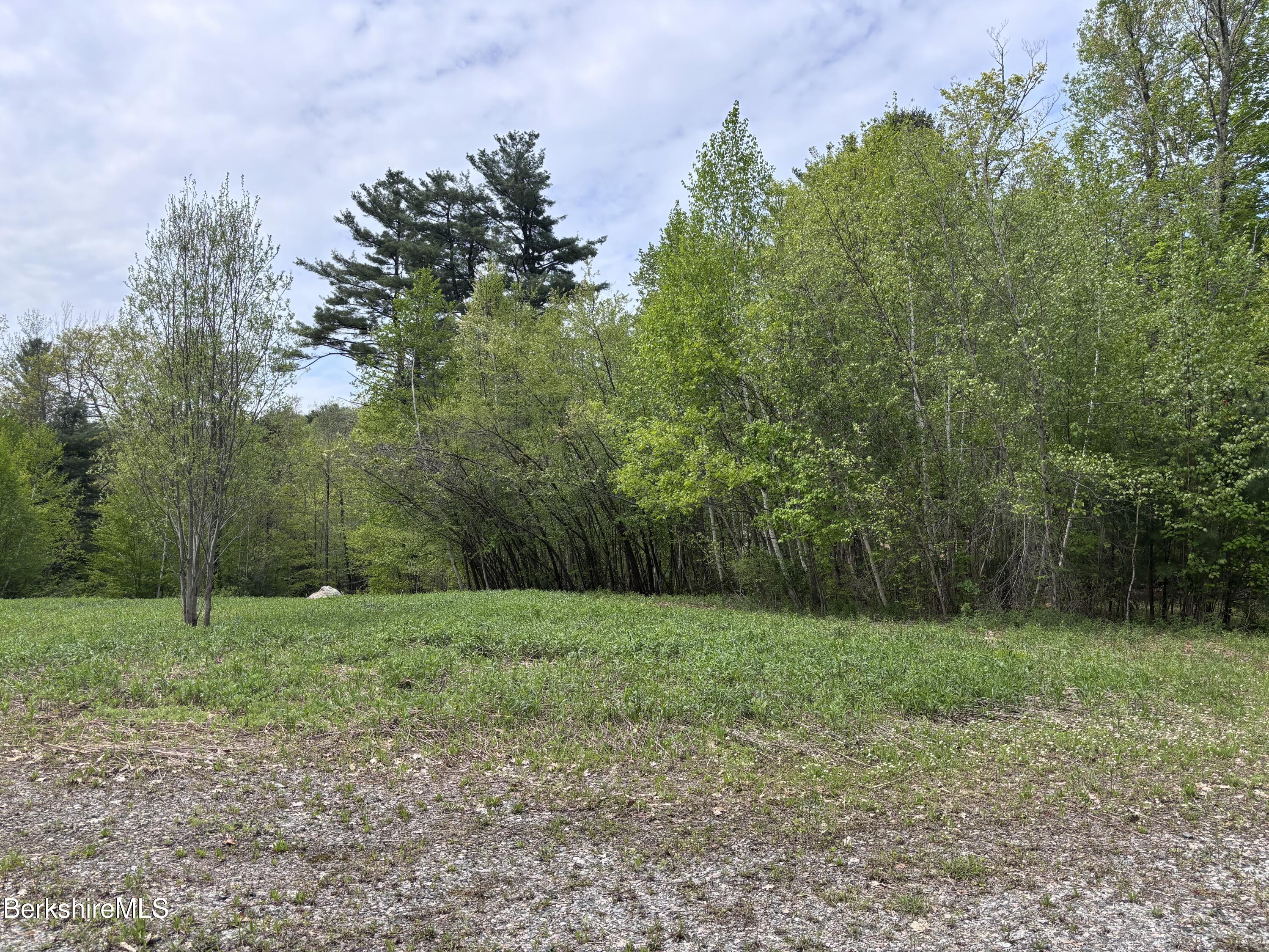 9 South Sandisfield Road Sandisfield, MA 01255 - Photo 9 of 10 a view of a grassy field with trees in the background