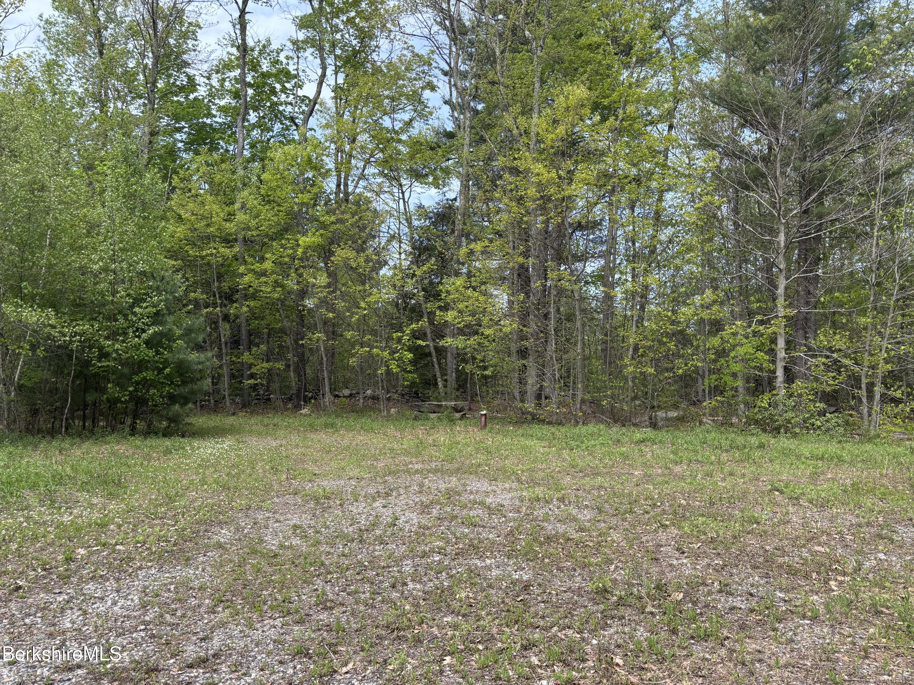 9 South Sandisfield Road Sandisfield, MA 01255 - Photo 10 of 10 a view of outdoor space and yard