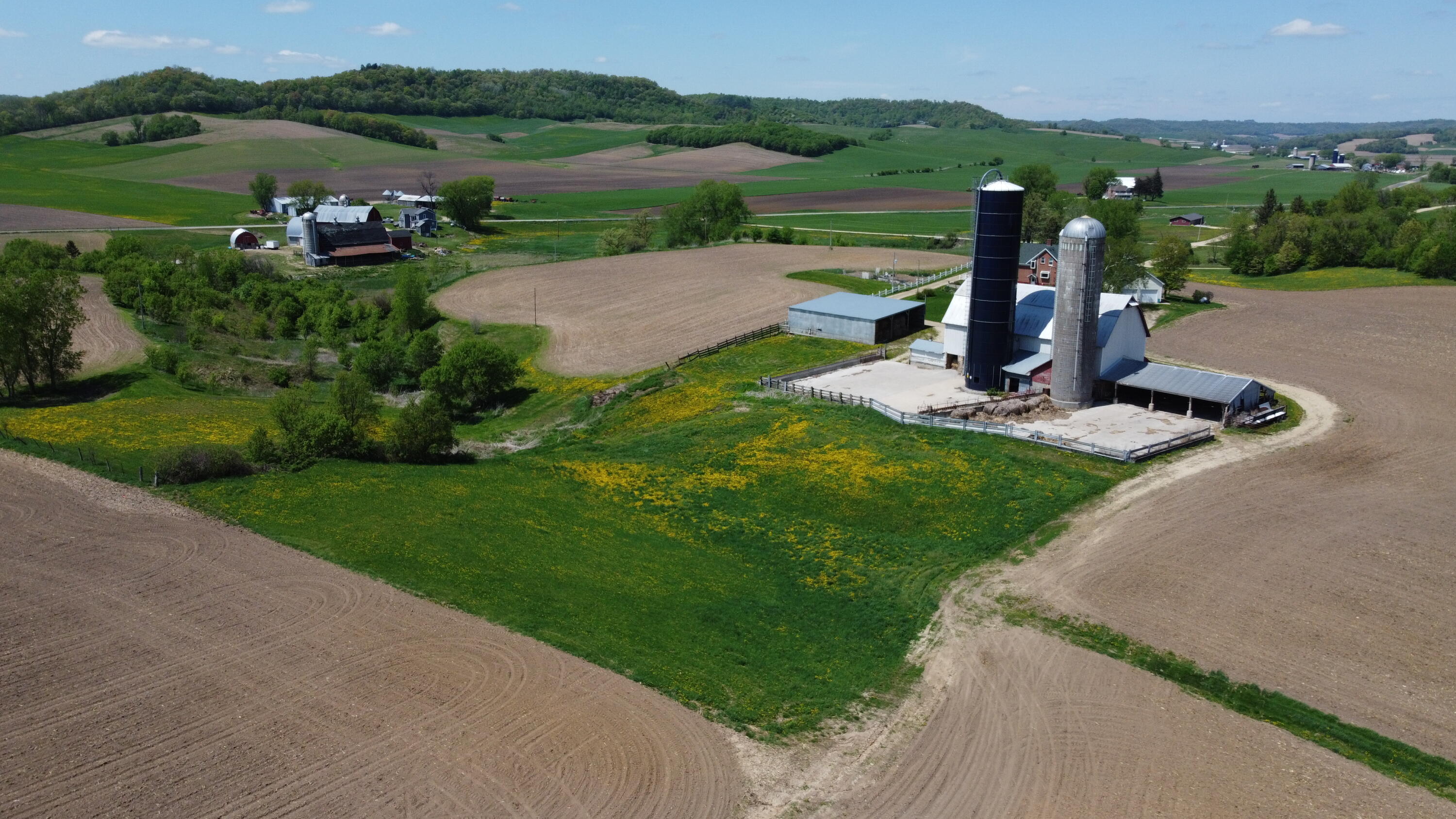 DJI_0833