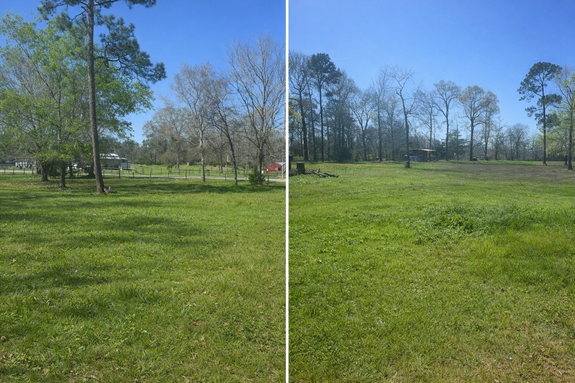 15698 Plaster Circle Conroe, TX 77303 - Photo 1 of 14 a view of a park with large trees