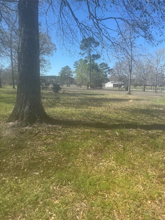 15698 Plaster Circle Conroe, TX 77303 - Photo 6 of 14 a view of lake view