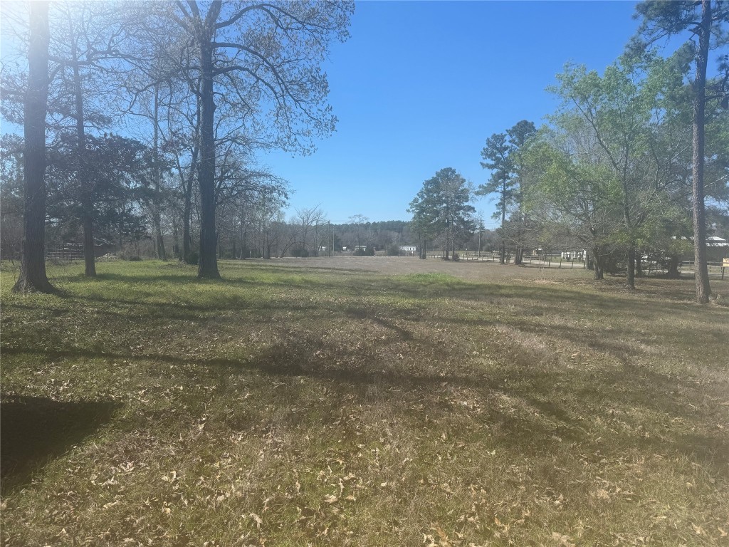 15698 Plaster Circle Conroe, TX 77303 - Photo 8 of 14 a view of a big yard with trees