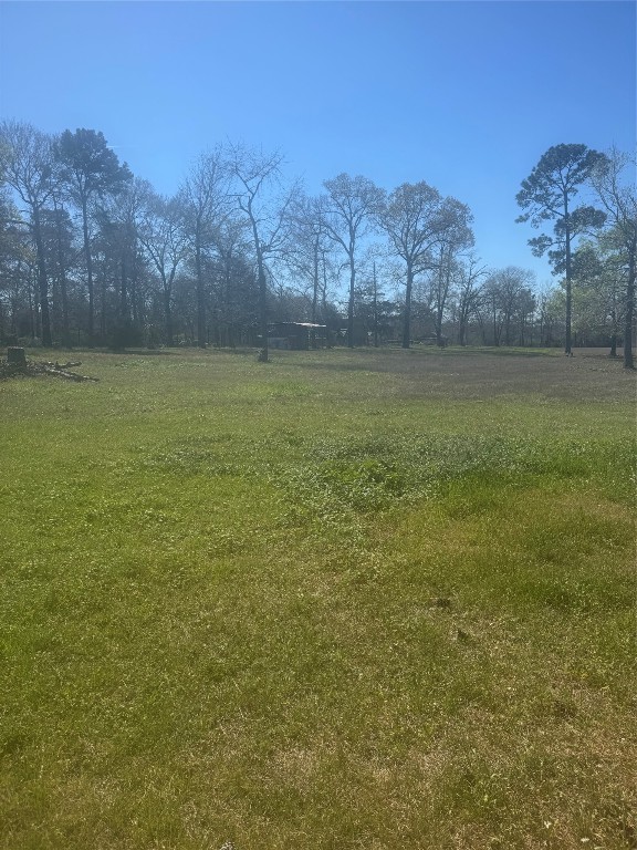 15698 Plaster Circle Conroe, TX 77303 - Photo 10 of 14 a view of lake view and mountain view