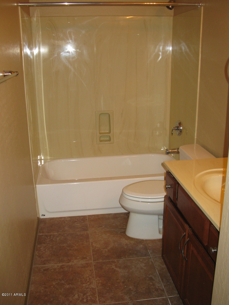 976 South Del Rio Court Apache Junction, AZ 85119 - Photo 17 of 27 Basement Bathroom