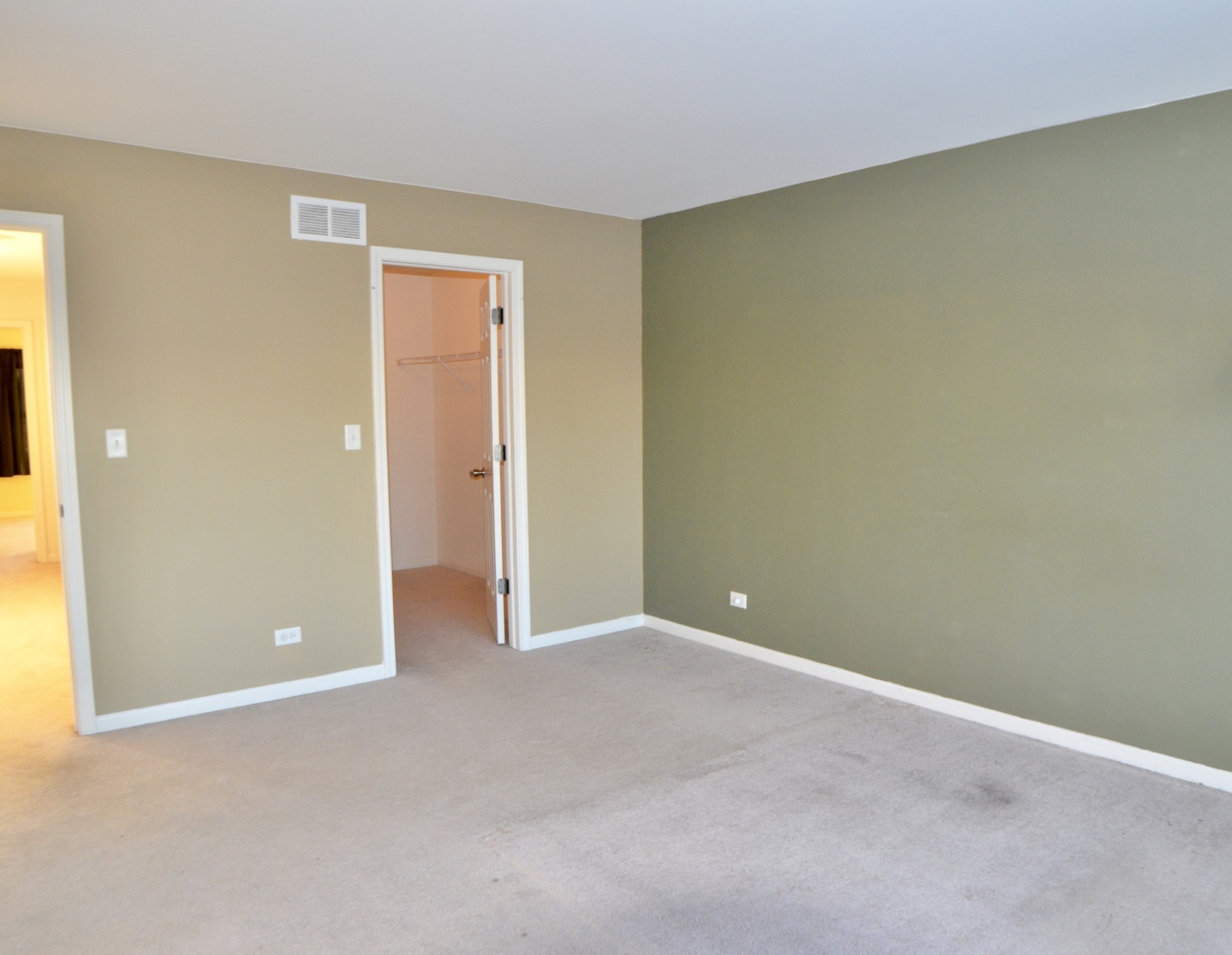 423 Azalea Street Elgin, IL 60124 - Photo 9 of 21 an empty room with closet area