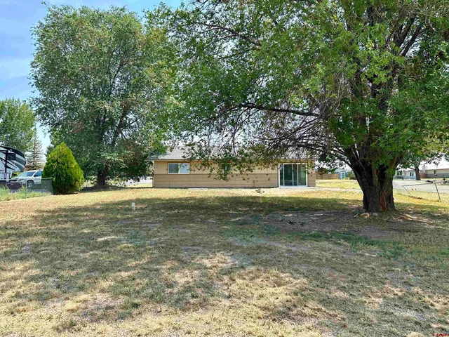 a view of a trees in a yard