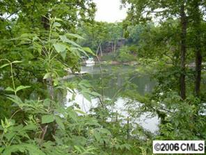 Lot 16 Kiwi Point Tega Cay, SC 29708 - Photo 3 of 6