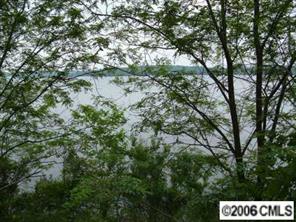 Lot 16 Kiwi Point Tega Cay, SC 29708 - Photo 6 of 6