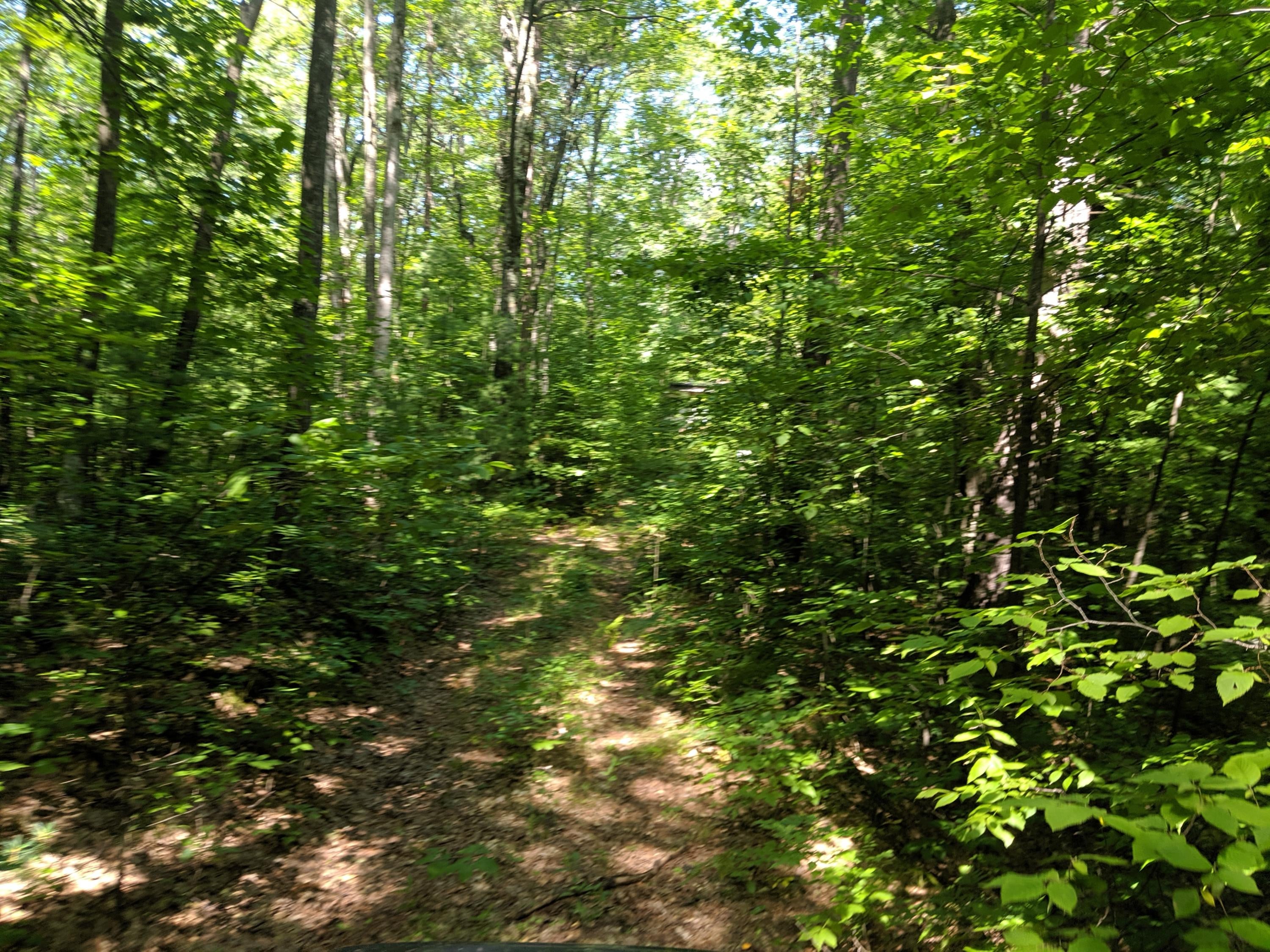 Hardy Grade Road Mio, MI 48647 - Photo 11 of 22 Gallery Image 11