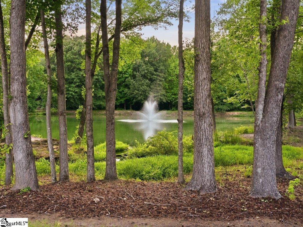 3 Firnstone Court Greenville, SC 29607 - Photo 46 of 49