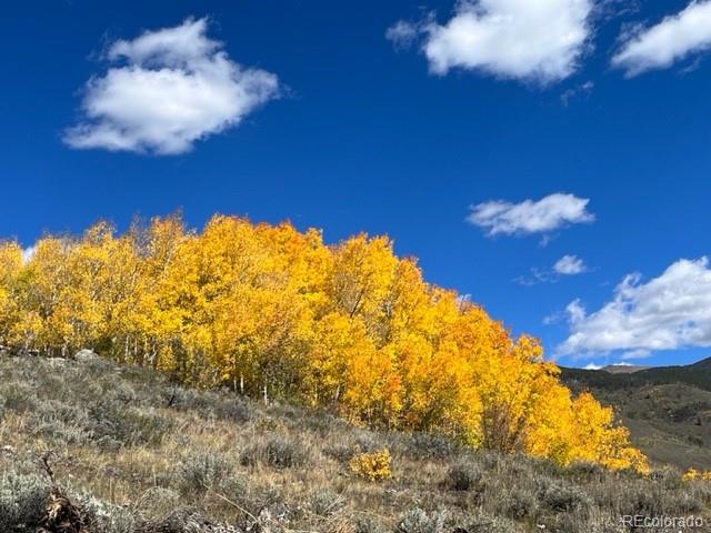 403 J Road Silverthorne, CO 80498 - Photo 2 of 6