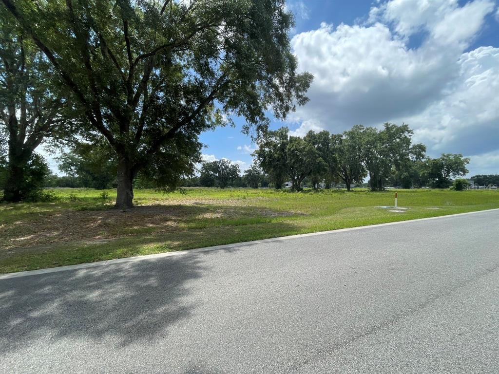 1020 Duck Box Road Umatilla, FL 32784 - Photo 2 of 13