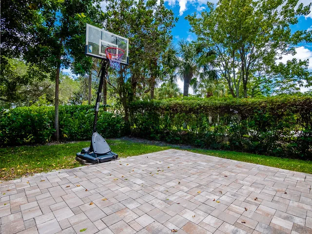 a view of a park with large trees