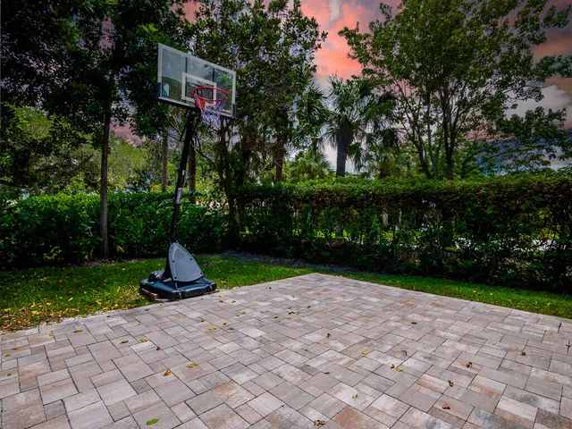 a view of a park with plants and trees