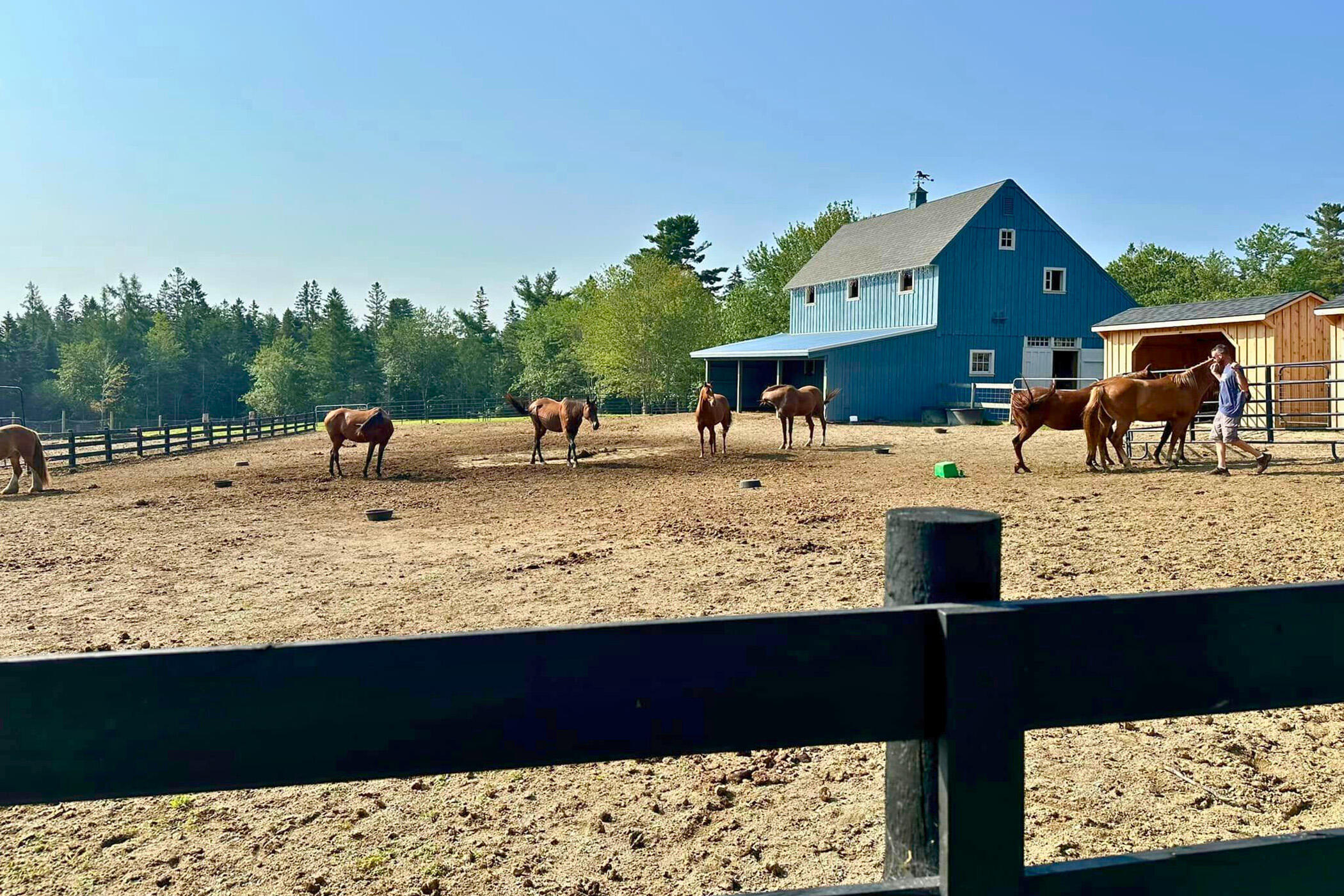 471 Milbridge Road Cherryfield, ME 04622 - Photo 47 of 71 48