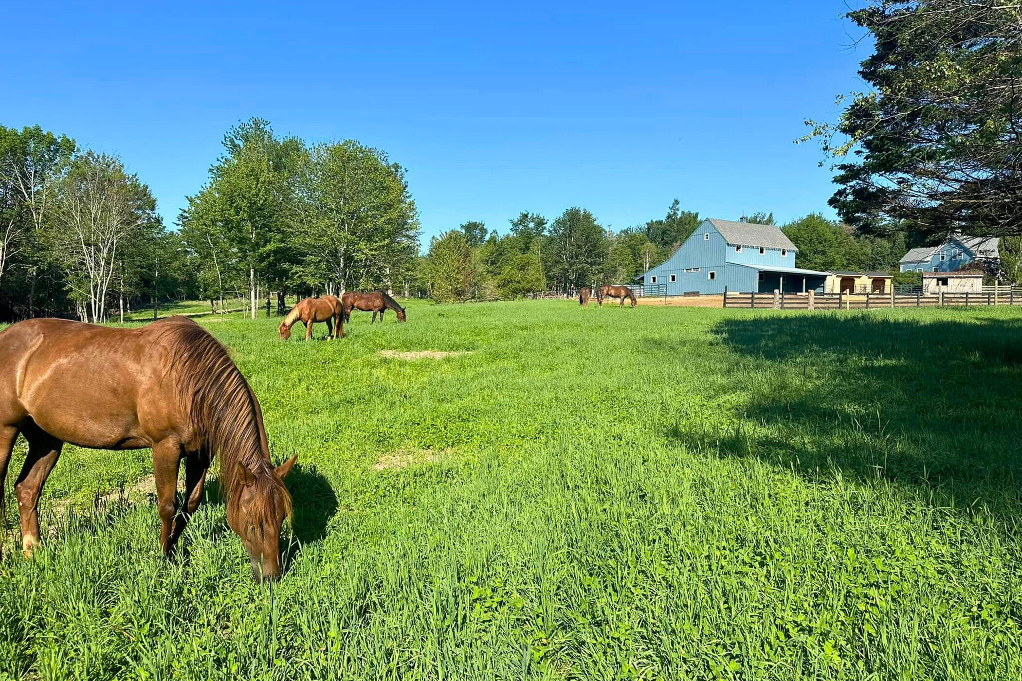 471 Milbridge Road Cherryfield, ME 04622 - Photo 5 of 71 5