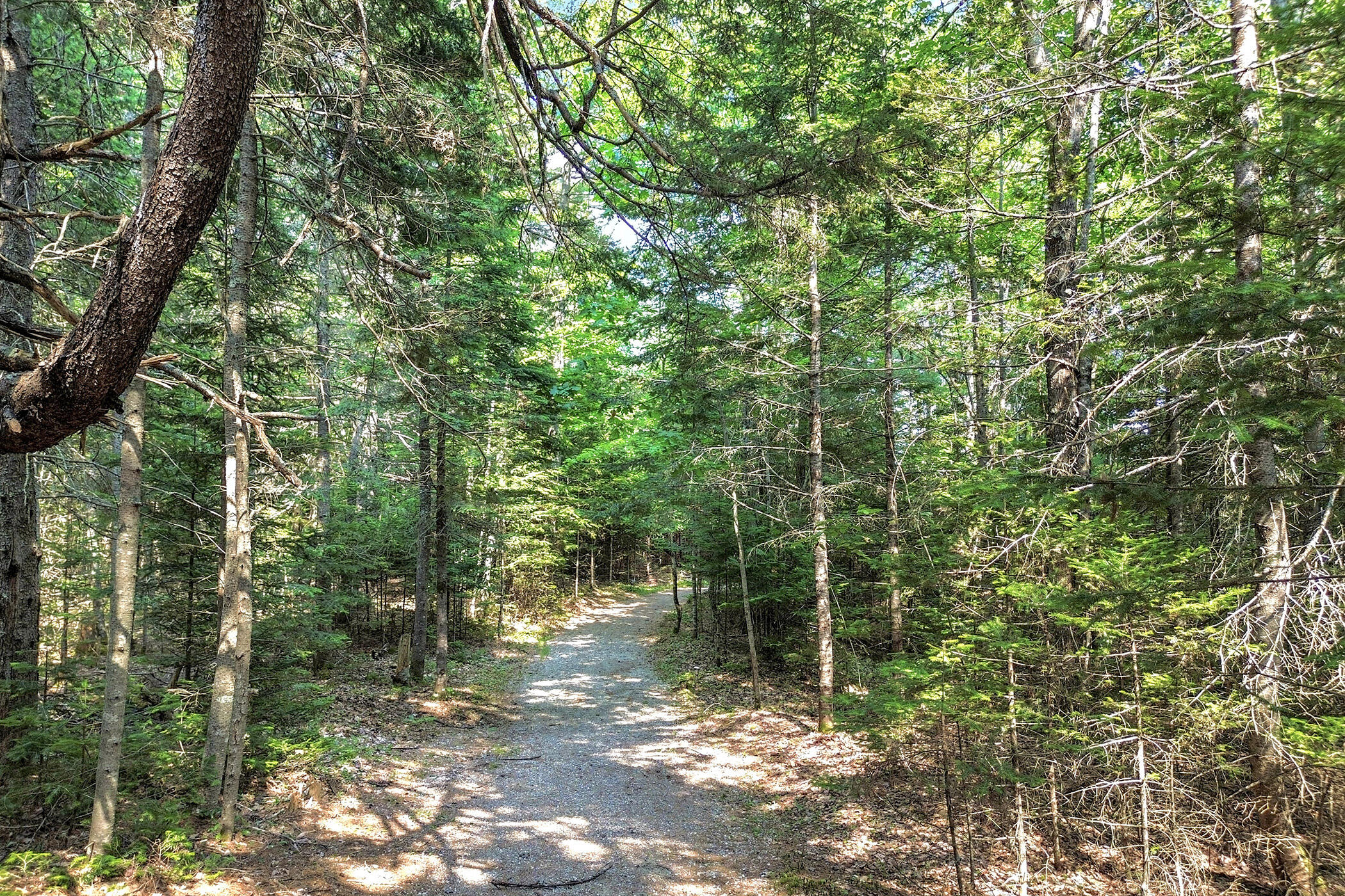 471 Milbridge Road Cherryfield, ME 04622 - Photo 65 of 71 65