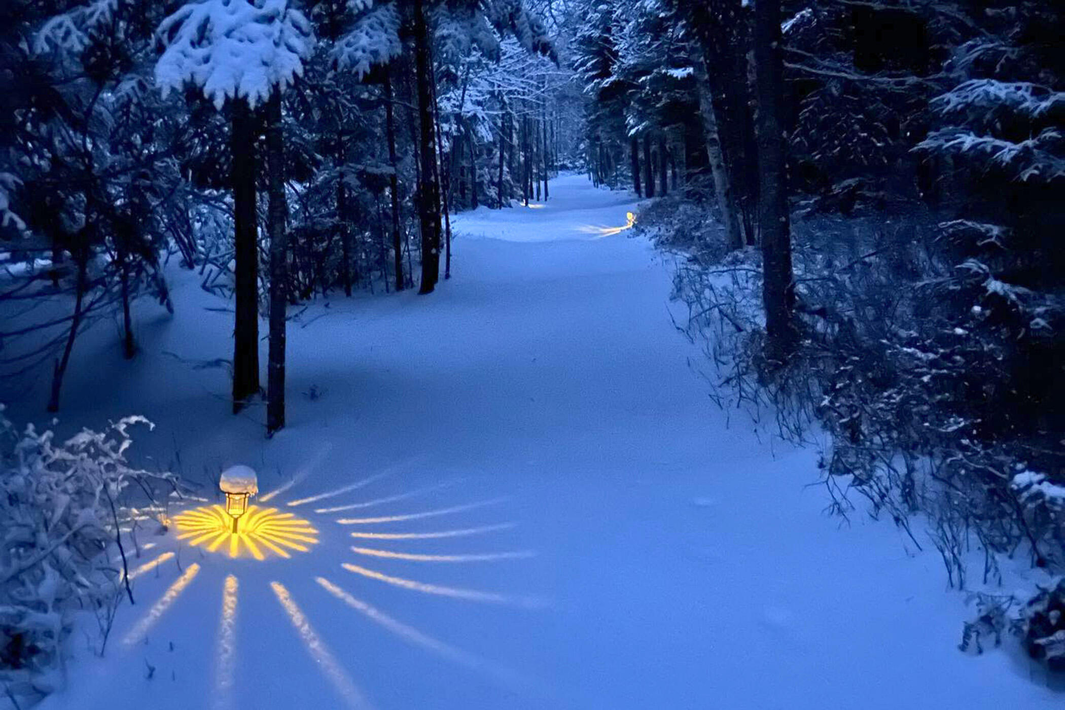 471 Milbridge Road Cherryfield, ME 04622 - Photo 66 of 71 66