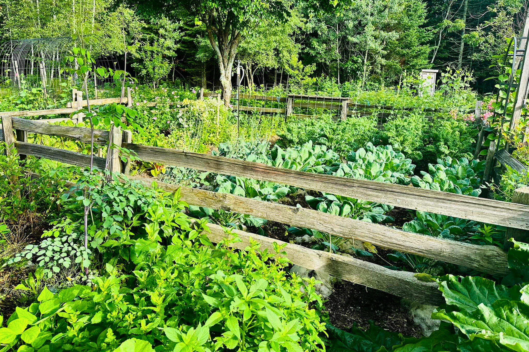 471 Milbridge Road Cherryfield, ME 04622 - Photo 68 of 71 68