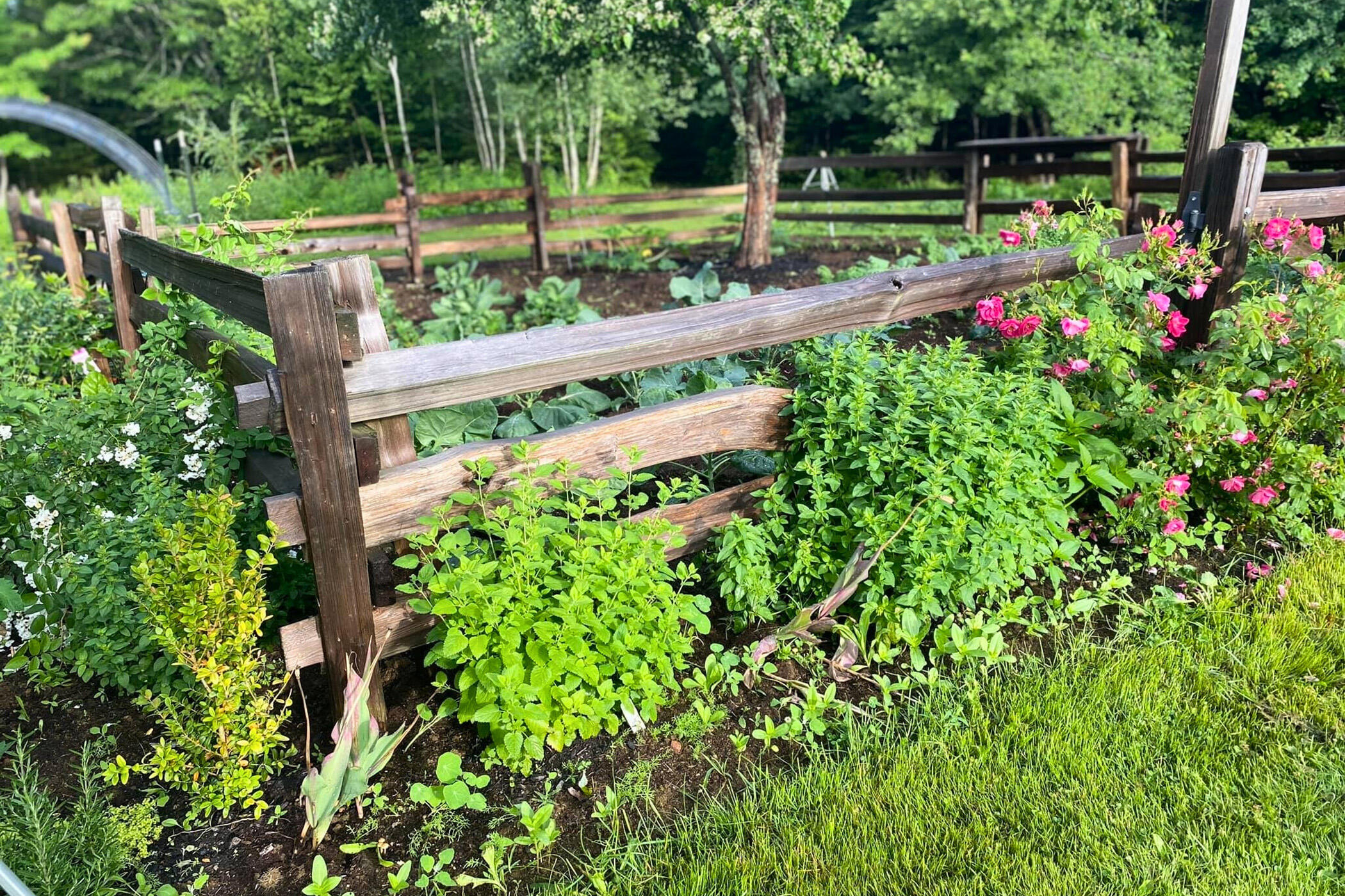 471 Milbridge Road Cherryfield, ME 04622 - Photo 69 of 71 69